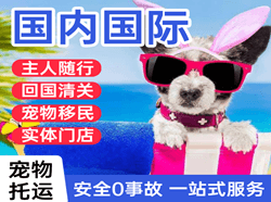 滋润空运地址国际宠物托运 【国